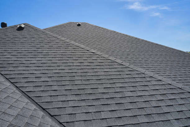 Best Roof Maintenance and Cleaning  in Bridgeport, MI
