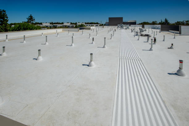Best Rubber Roofing (EPDM, TPO)  in Bridgeport, MI